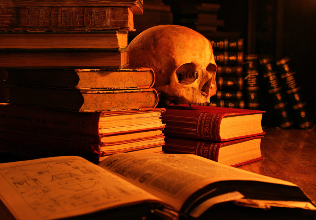 Skull & Books Übersetzungslektorat
